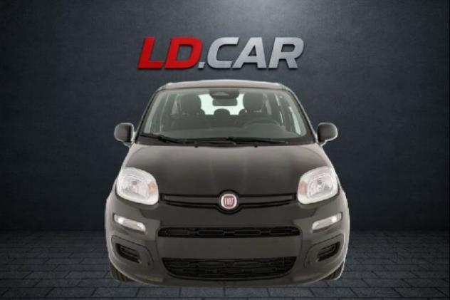 FIAT New Panda 1.0 FireFly 69cv Hybrid Pandina Icon - Km 0 2026 rif. 21431145 - Foto 2