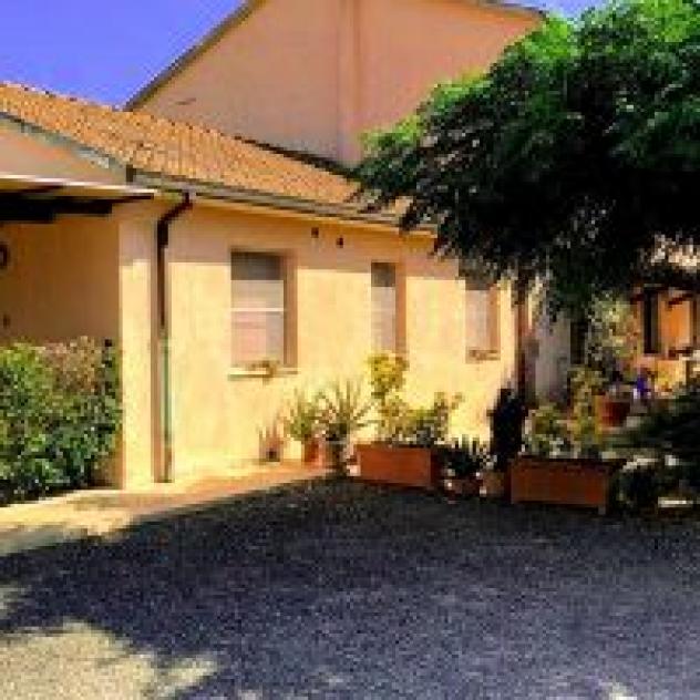 Mazzocco Fausto - Agriturismo al Vermigliano - Foto 4