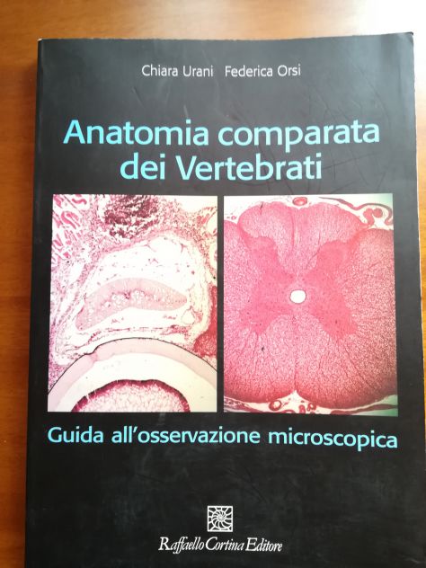 Anatomia comparata dei vertebrati