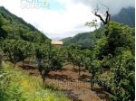 IMMOBILI-ALTRA CATEGORIA-Località San Totaro o Valle del Cerasuolo