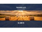 Immobile in asta di 2483 m² in vendita a Taviano