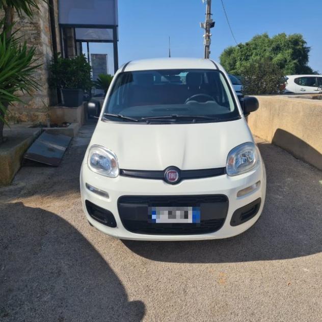FIAT Panda 1.2 Pop rif. 23795054 - Foto 4