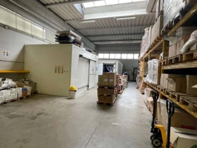 Immobile in asta di 1778 m² in vendita a Veggiano - Foto 4