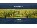 Immobile in asta di 8749 m² in vendita a Ausonia