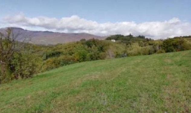Immobile in asta di 63426 m² in vendita a Fara Vicentino - Foto 5