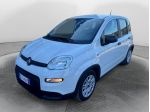 FIAT Panda my24 1.0 70cv hybrid panda