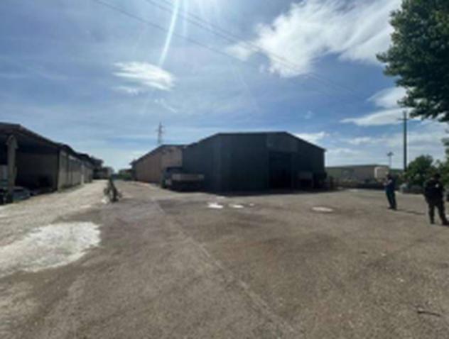 Immobile in asta di 696 m² con più di 5 locali in vendita a Torgiano - Foto 2