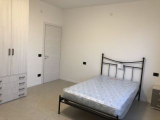 Camera in affitto per studentessa in centro storico