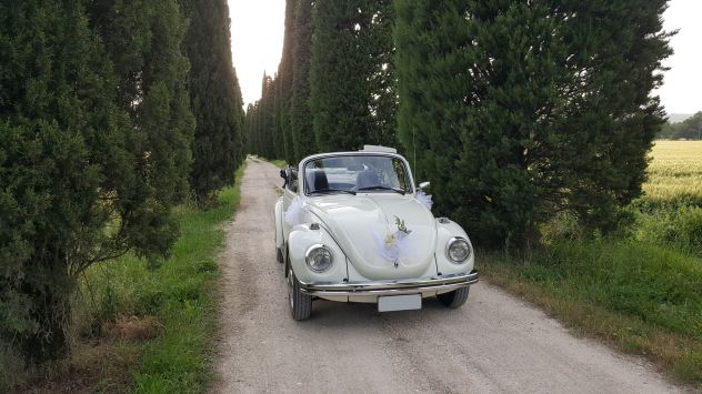 Noleggio maggiolone cabrio - Foto 2