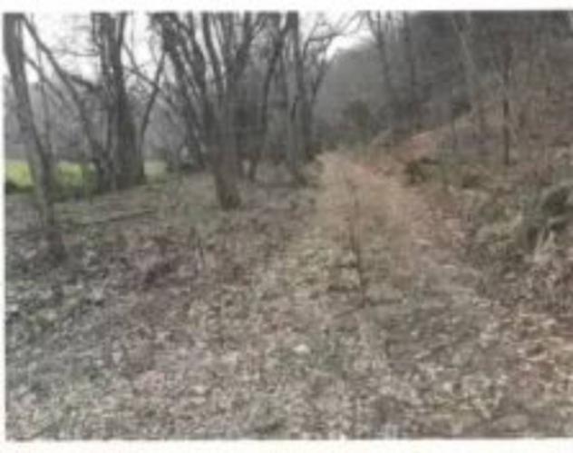 Immobile in asta di 4060 m² in vendita a Cuasso al Monte - Foto 7