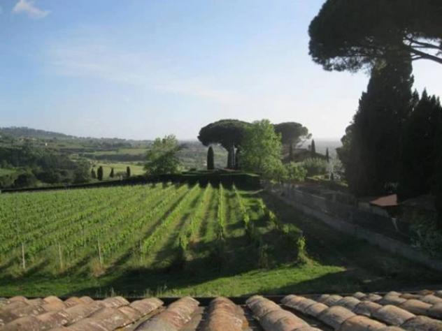 Immobile in asta di 151463 m² in vendita a Grottaferrata - Foto 8