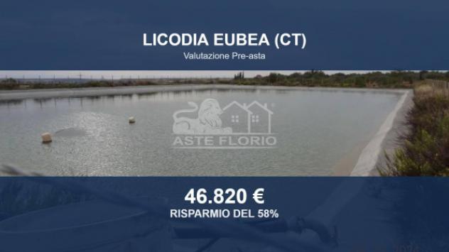 Immobile in asta di 46740 m² in vendita a Licodia Eubea