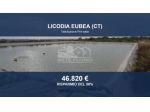 Immobile in asta di 46740 m² in vendita a Licodia Eubea