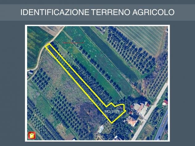 Agricolo in vendita a Verucchio