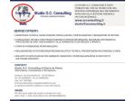 Consulenza e assistenza informatica