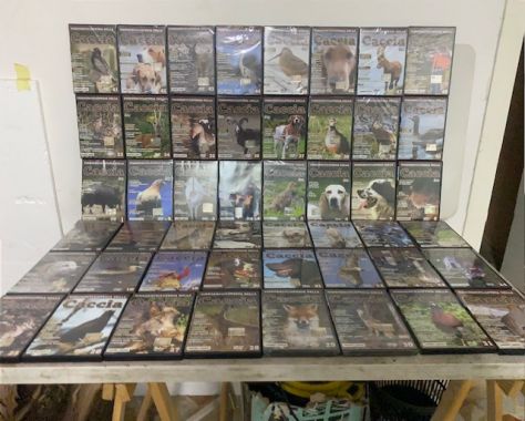 DVD filmati di azione di caccia - Foto 2