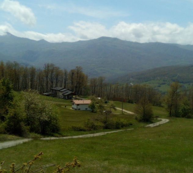 Camera in villetta indipendente