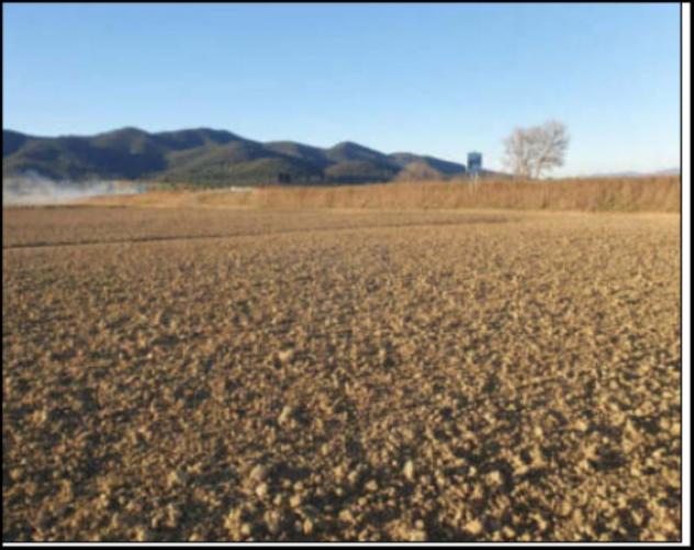 Immobile in asta di 141120 m² in vendita a Grosseto - Foto 5