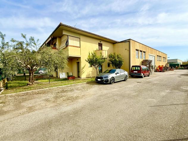 CAPANNONE di 9 vani e di 825 mq (GROSSETO - Grosseto) rif. CI.V.S