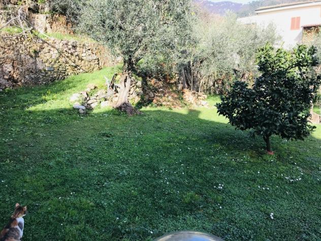Singola in vendita a Pietrasanta - Foto 4