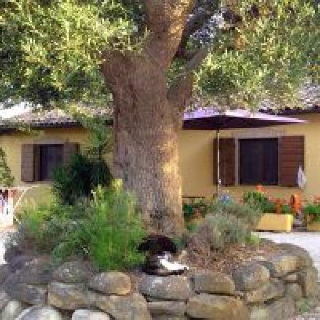 B&B La Foresteria - Foto 2