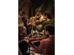 Quartetto d'archi "Vercelli String" musica per matrimoni ed eventi