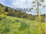 Terreno in vendita a Agira