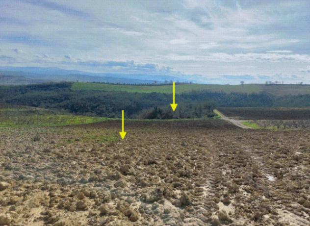 Immobile in asta di 4 m² in vendita a Altomonte - Foto 2