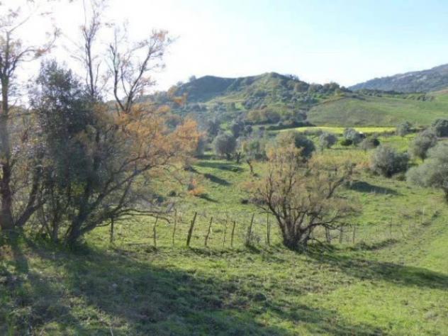 Immobile in asta di 6430 m² in vendita a Casignana - Foto 19