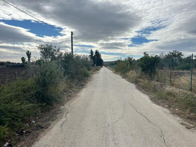Seminativo in vendita a Siracusa - Foto 4