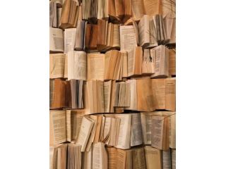 Ripetizioni Medie e Superiori - Inglese Francese e Diritto