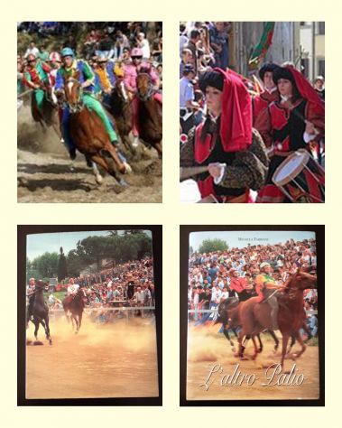 L'altro Palio, MICHELA FABBIANI, Giugno 1996.