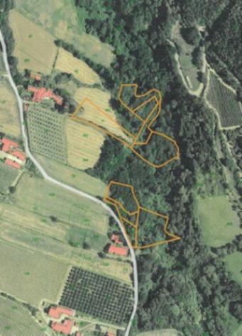 Immobile in asta di 12150 m² in vendita a Monastero Bormida - Foto 4