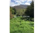 Terreno di 471 mq  in vendita a Petruro Irpino - Rif. 4543493