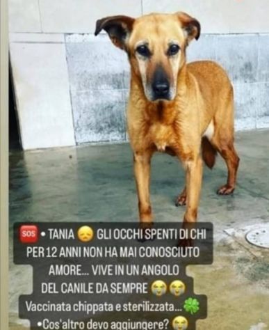 Tania 12ANNI IN UN ANGOLO DEL BOX!!! LIBERIAMOLA!NAPOLI
