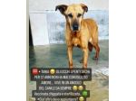 Tania 12ANNI IN UN ANGOLO DEL BOX!!! LIBERIAMOLA!NAPOLI