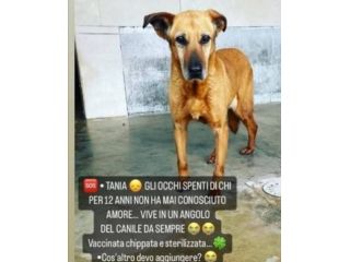 Tania 12ANNI IN UN ANGOLO DEL BOX!!! LIBERIAMOLA!NAPOLI
