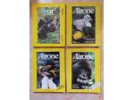AIRONE