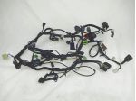 CABLAGGIO KAWASAKI Z 300 ABS 2015 - 2016 260311778 MAIN WIRING