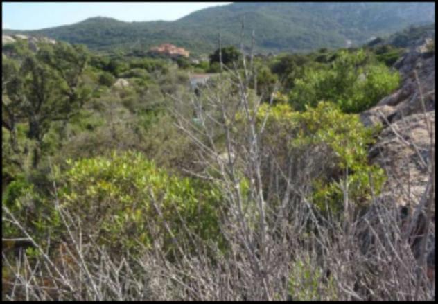 Immobile in asta di 2270 m² in vendita a Olbia - Foto 8