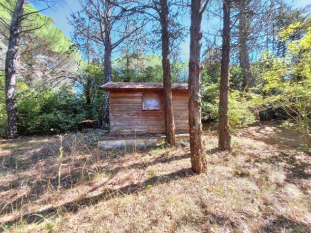 Immobile in asta di 583 m² con più di 5 locali in vendita a Monte Castello di Vibio - Foto 7