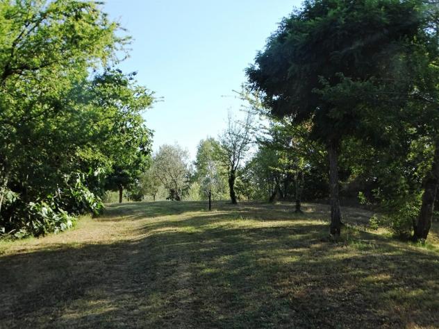 Villa in vendita a Corazzano - San Miniato 485 mq Rif: 1244238 - Foto 4