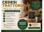 CEDESI TRATTORIA AVVIATA A LONATO DEL GARDA