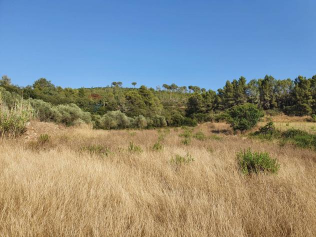 Terreno in vendita a Caltagirone, Santo Pietro - Foto 10