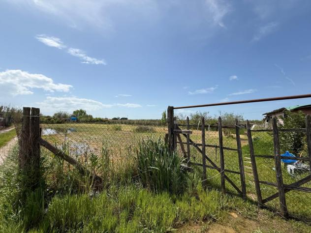 TERRENO AGRICOLO di 2134 mq (GROSSETO - Grosseto) rif. TE.43 - Foto 3
