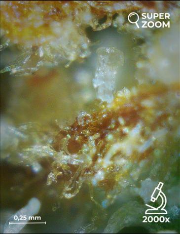 Gorilla Glue - Foto 5