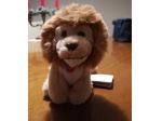 2 peluche Trudi