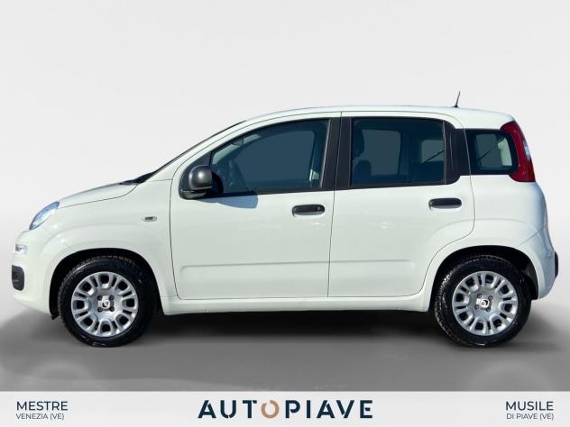 FIAT Panda 1.0 FireFly 70cv S&S Hybrid - Foto 2