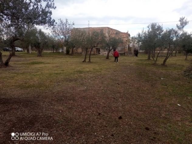 Rustico in vendita a Fossacesia - Foto 16