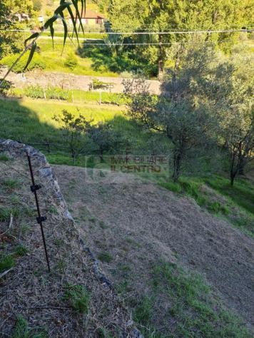 Terreno agricolo di 13.000 mq. - Foto 2